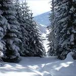 Der Oswalderhof